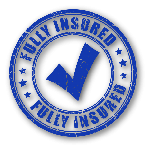 Baer Insurance Fully Insured Badge - Partners and Affiliates - Insurance Agents Colorado
